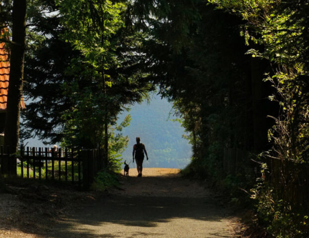 Se vuoi rimetterti in forma non devi (solo) andare in palestra: ti ci vuole un cane