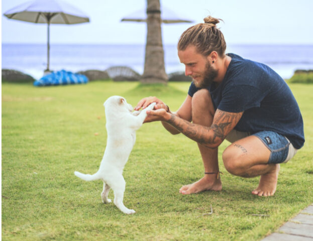 Sì, lo dice uno studio: il pelo dei cani è molto più igienico della barba degli esseri umani