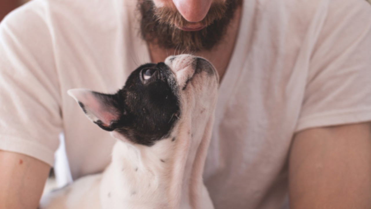 Cane vicino all’uomo