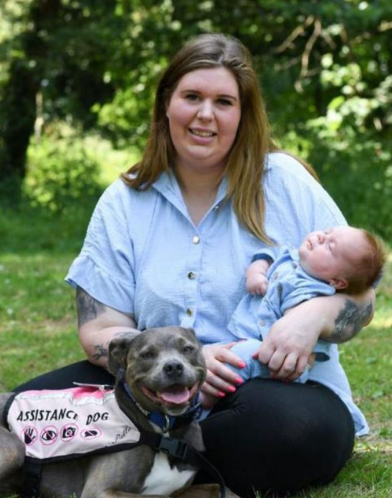 un cane di razza Stafforshire bull terrier di nome Belle