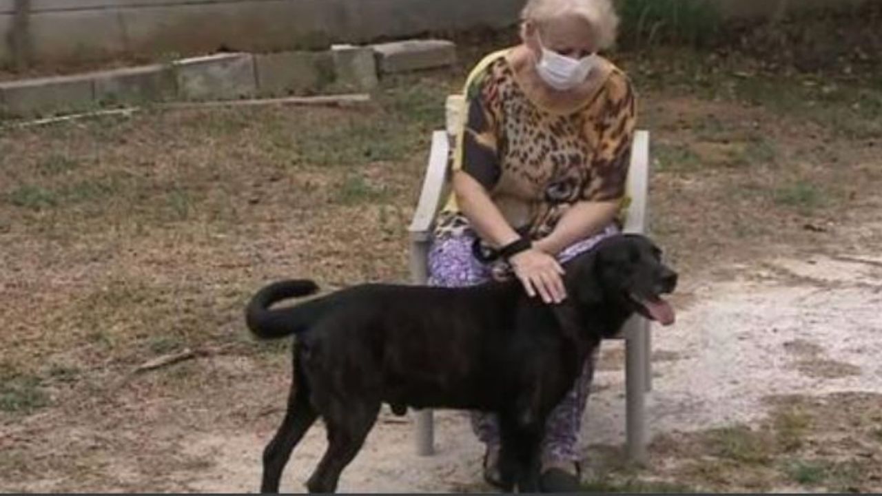 una donna con il suo cane