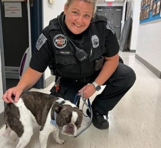 Cane abbandonato all’aeroporto di Pittsburgh da una donna che partiva per le vacanze