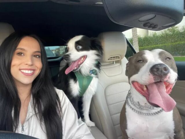 donna sorridente con due cani