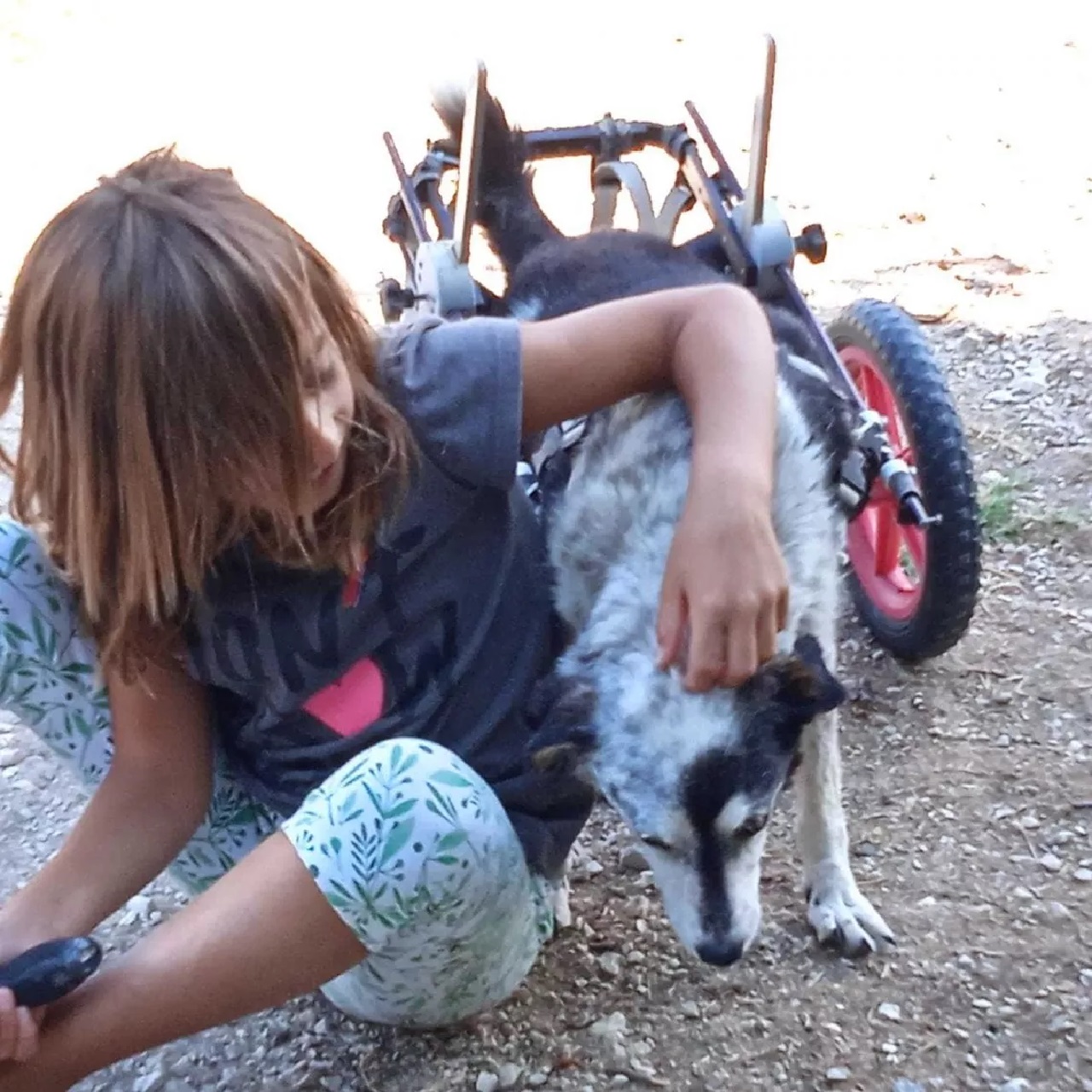 Bambina con cane zoppo