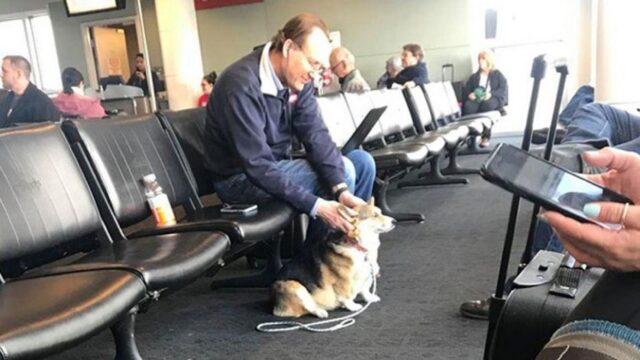 Cane conforta uno sconosciuto in aeroporto: il motivo ti farà piangere