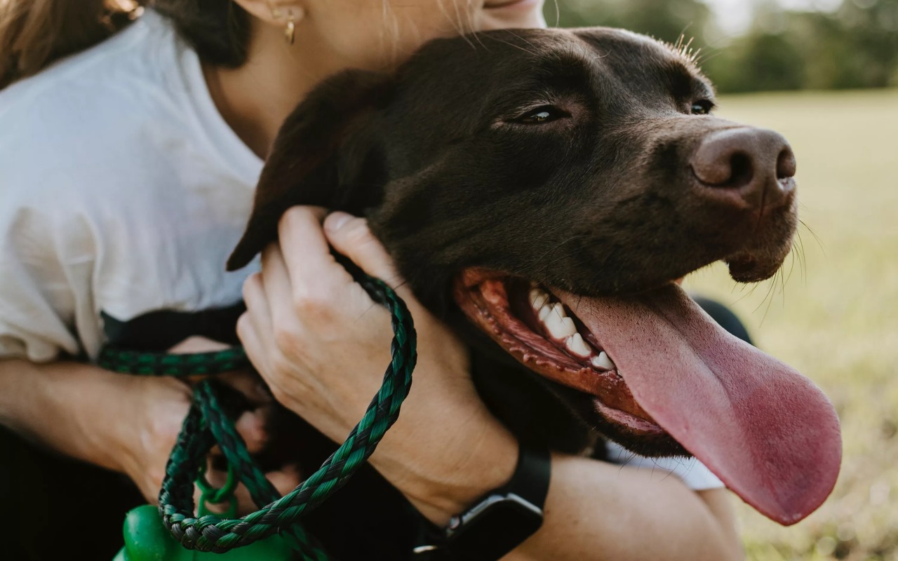 ragazza che abbraccia il suo cane