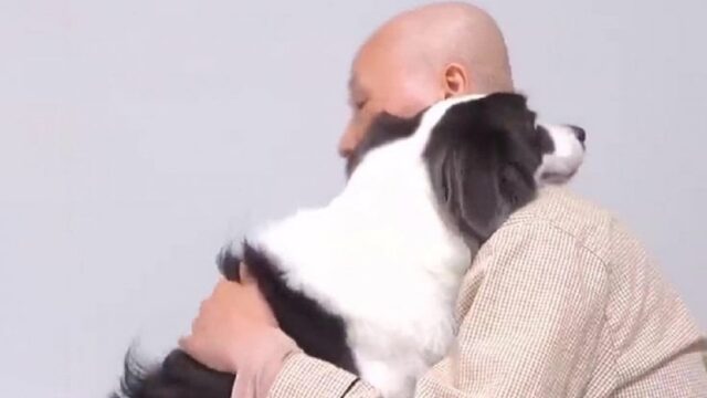 Cane scopre che la sua proprietaria ha il cancro: la reazione dell’animale è davvero incredibile