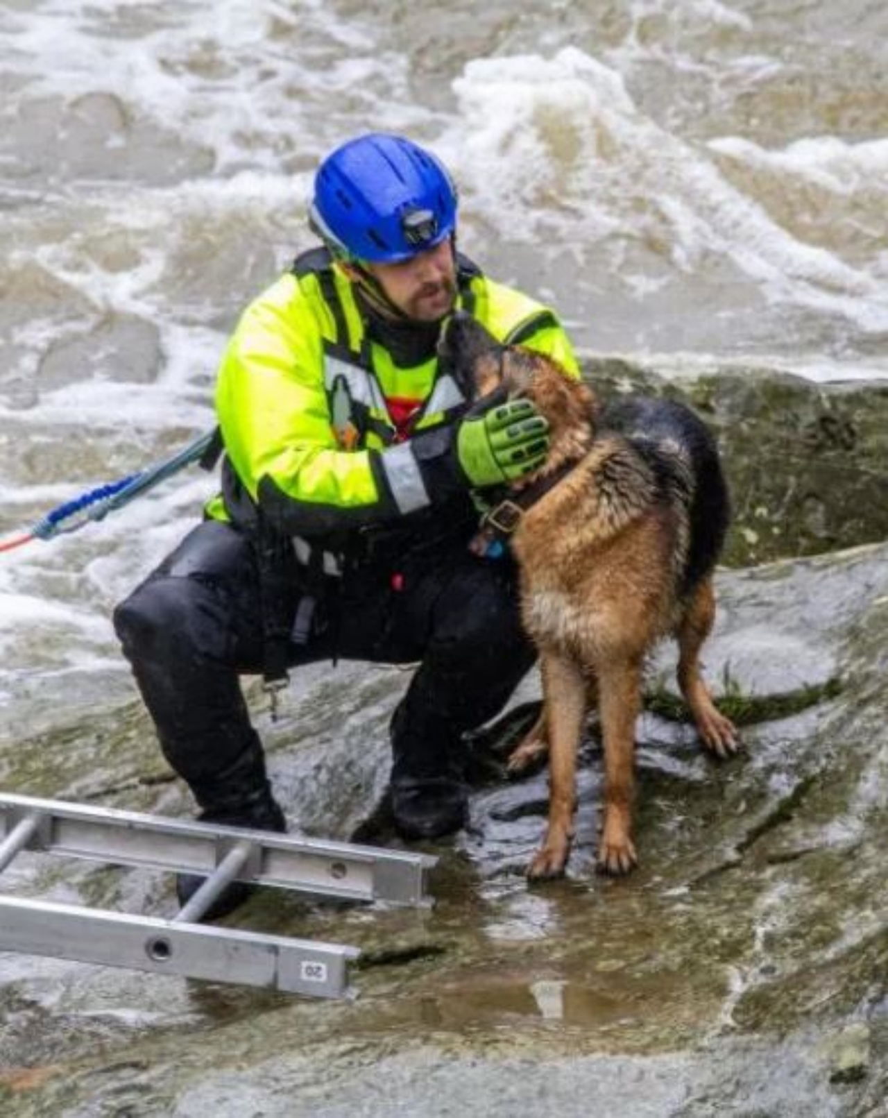 un uomo salva un cane