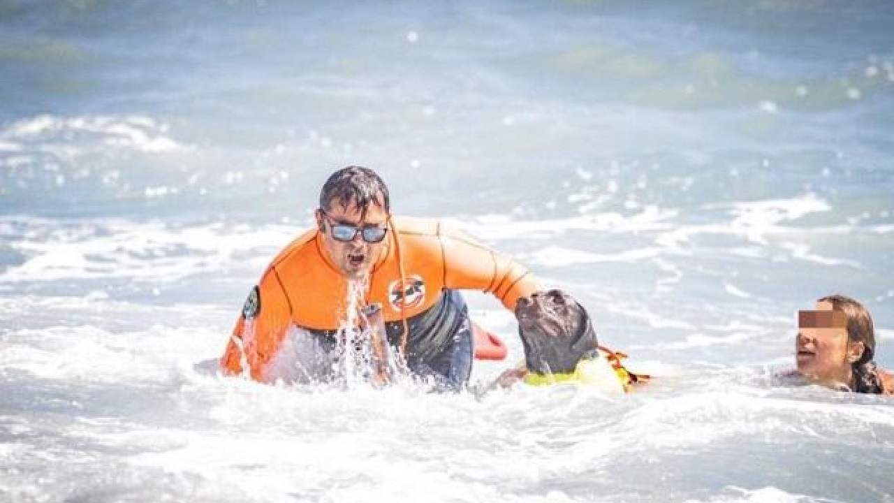 Cane bagnino in mare