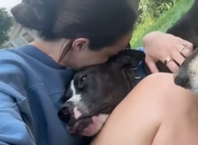 Questa donna sta facendo di tutto per salvare il cagnolino, anche spendere tutto ciò che ha