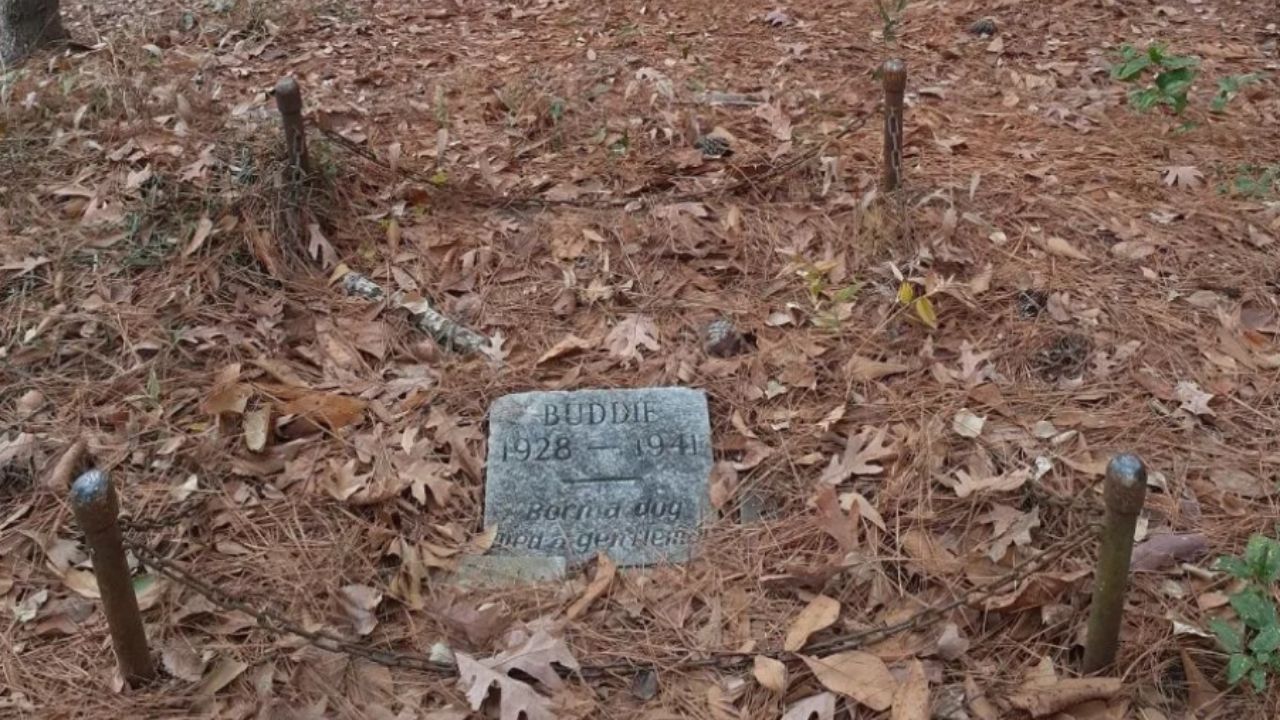 tomba dedicata ad un cane