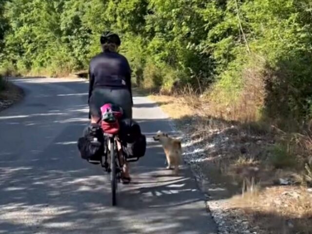 Inizia a seguire le cicliste per qualche giorno, poi decide di non mollarle più: il cane è diventato la loro mascotte