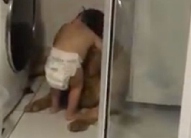 La bimba conforta il suo cane spaventato dai tuoni, abbracciandolo e parlandogli