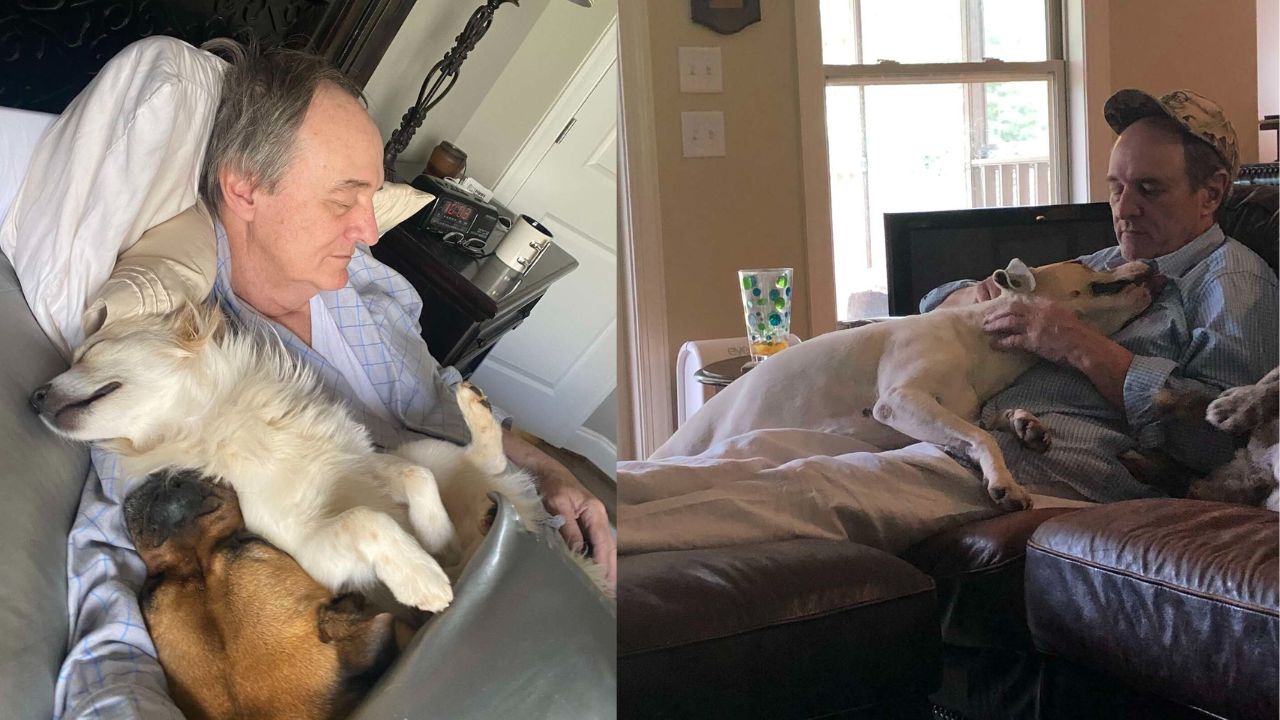 Uomo dorme coi cani