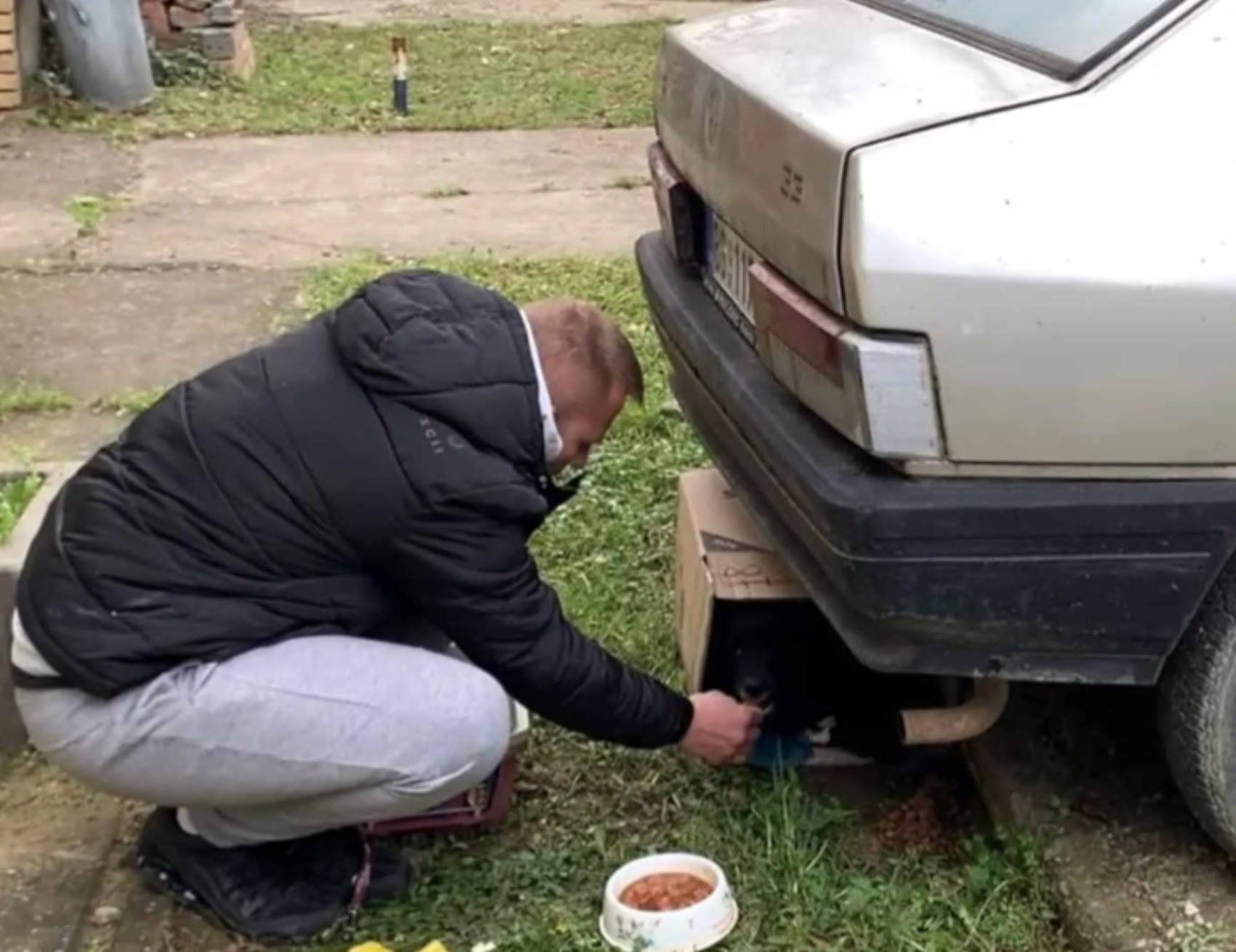 Uomo da da mangiare al cane