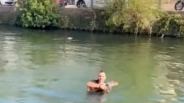 Milano, il poliziotto si getta nel naviglio per salvare Attila: il bassotto è in salvo grazie al suo intervento