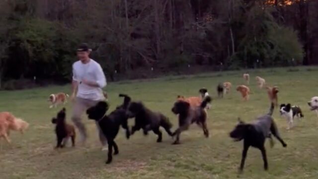 Un asilo per cani riprende un cucciolo che si comporta in modo unico e decide di condividerlo con il mondo