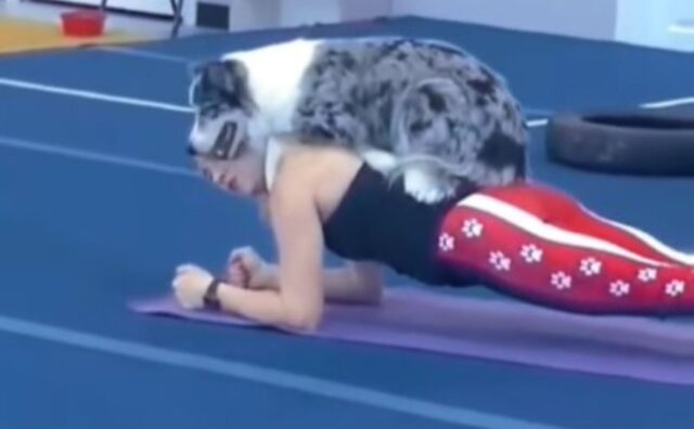 Questo cane è uno dei motivi migliori che possono spingere la sua padrona a fare sport (VIDEO)