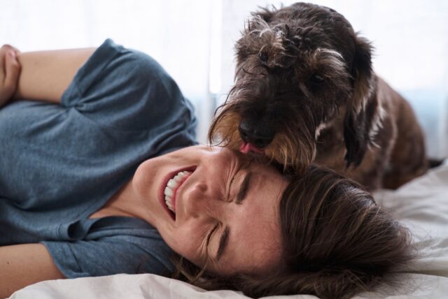 Il cane sceglie a chi fare le feste o lo fa a prescindere?