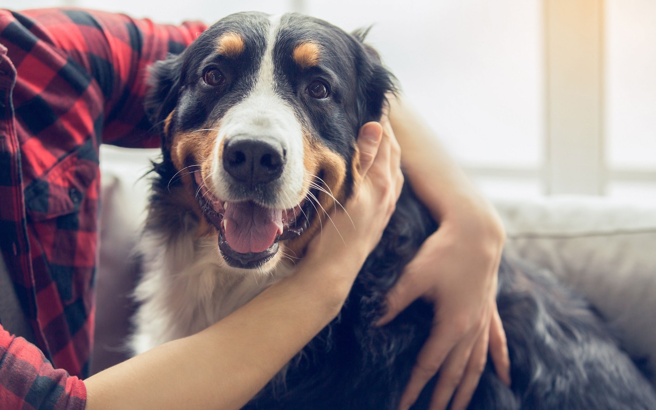 uomo che abbraccia il suo cane