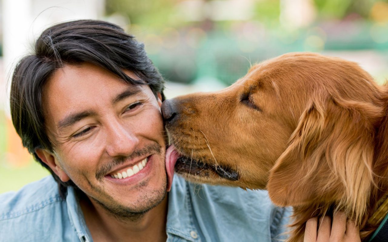 cane lecca la faccia a un uomo