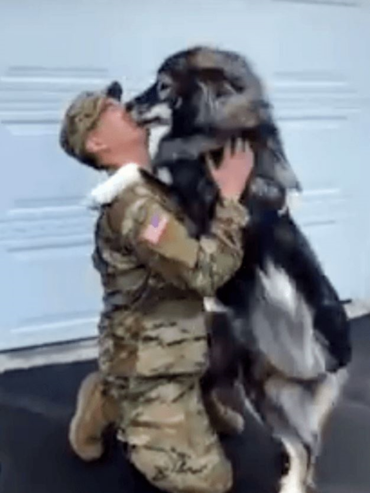 un cane abbraccia un uomo