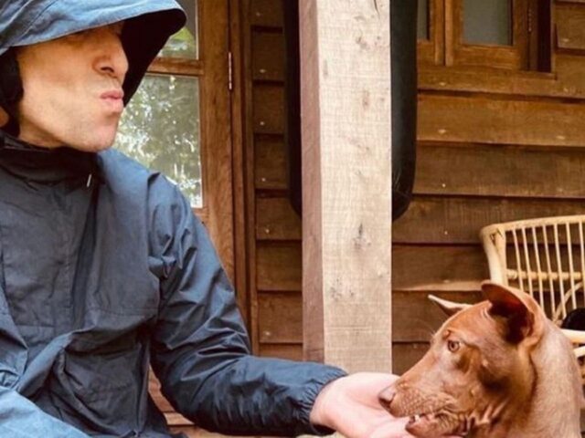 Liam Gallagher adotta un cane in Thailandia: ha inviato la domanda come tutti gli altri