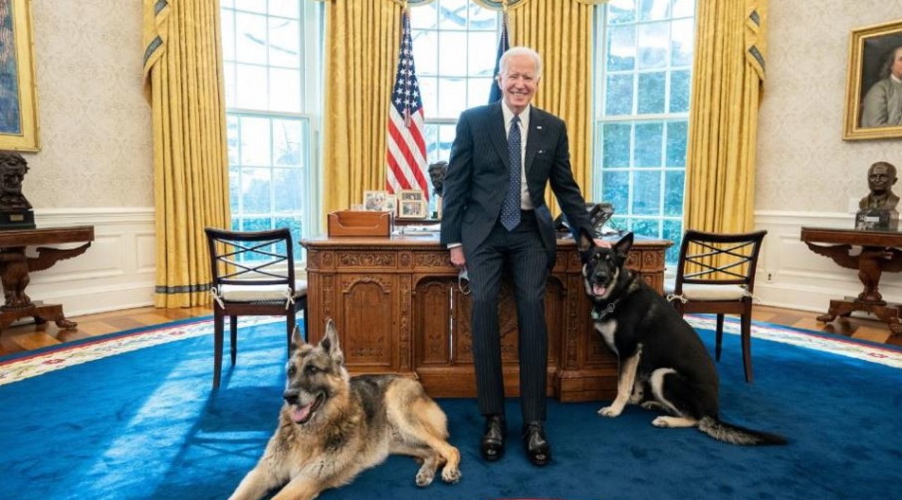 Cani di Joe Biden alla Casa Bianca