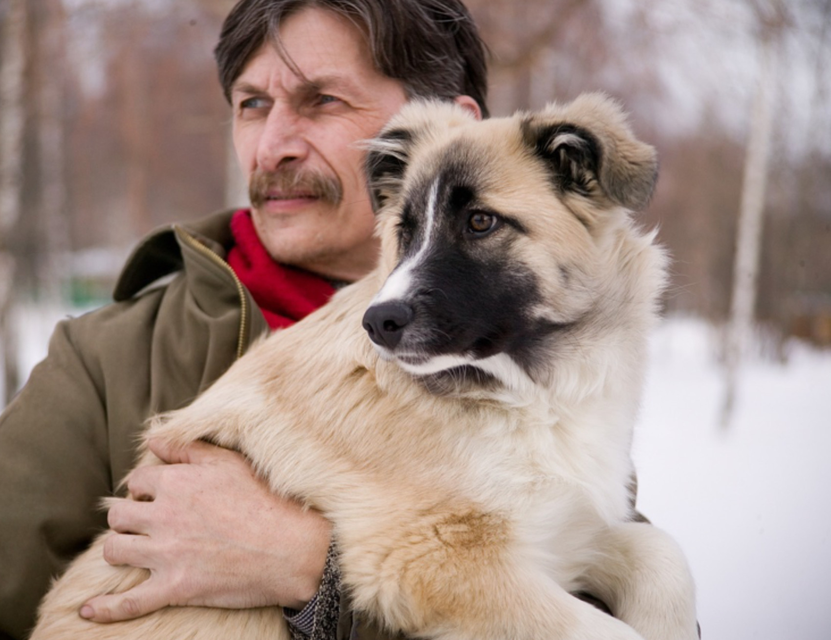 Umano e cane