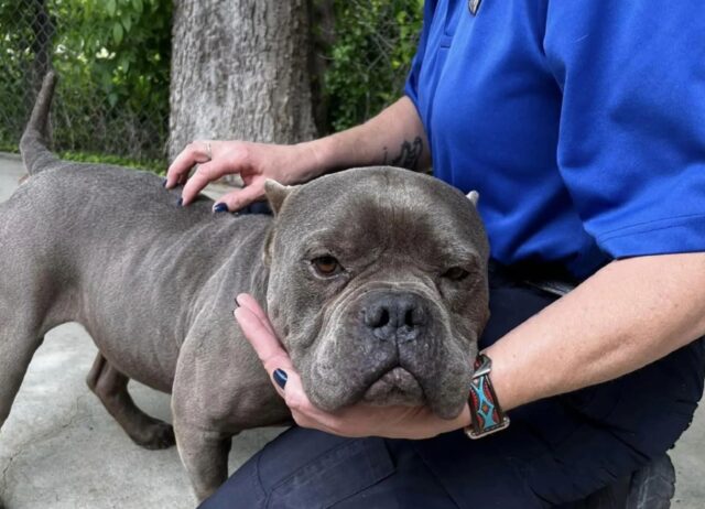 Abbandonato e terrorizzato, questo cane si mostra riconoscente con un abbraccio stretto e fortissimo