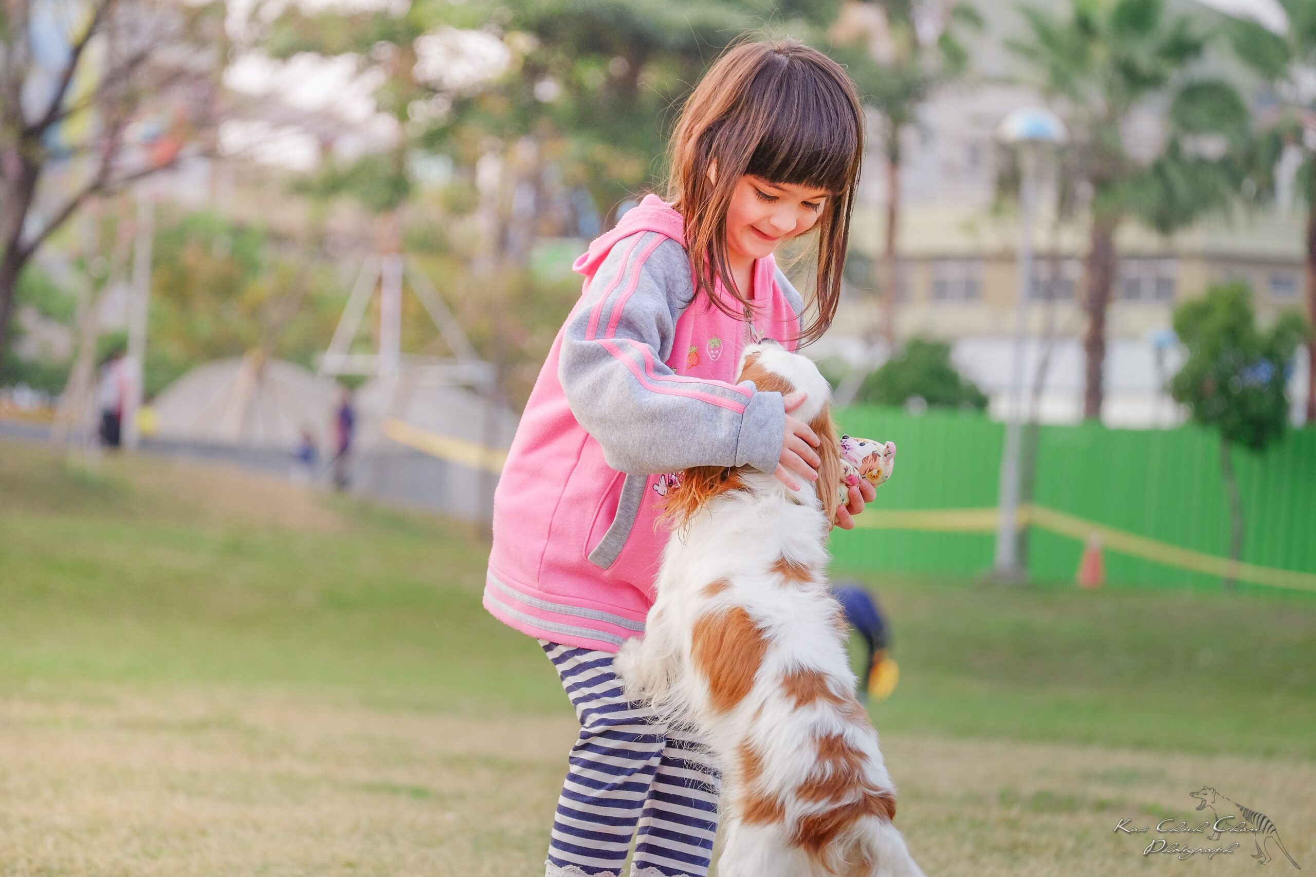 bambina accarezza cane