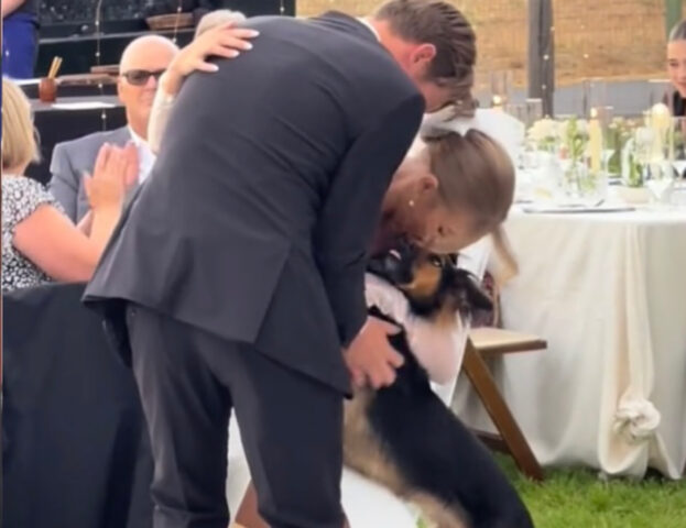 Commovente e buffo insieme: questo cane decide di unirsi alla sua mamma e al suo papà nel primo ballo da sposati