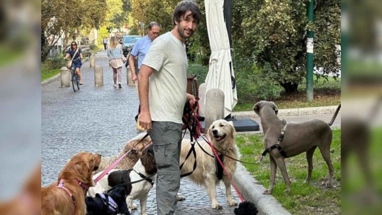 dog sitter da record milano