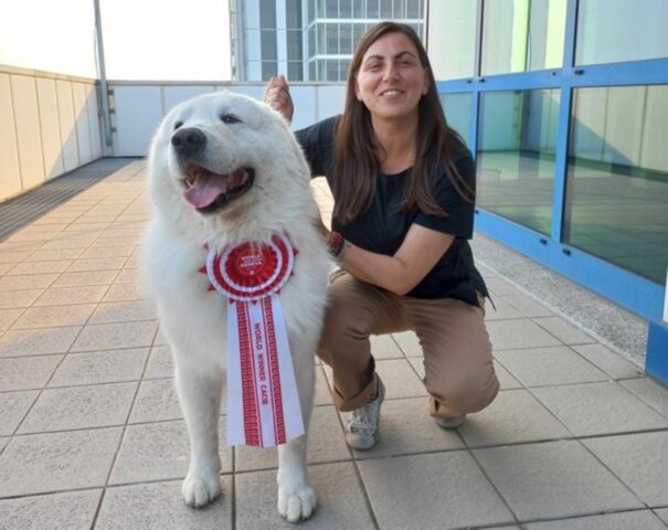 Eccolo, è lui il cane più bello del mondo: si chiama Cafaggio e vive in una bellissima regione italiana