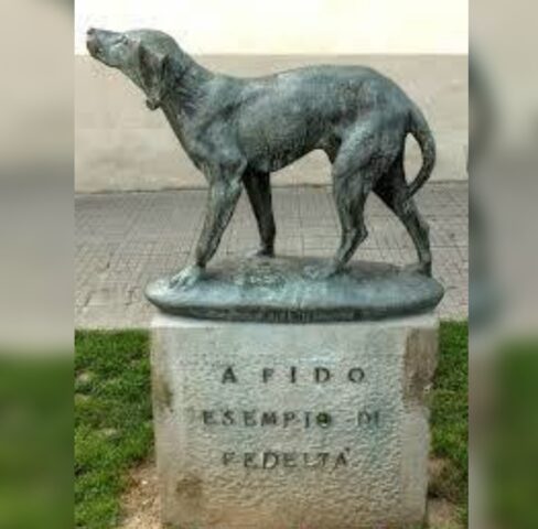 Fido, l’Hachiko italiano che per 14 anni ha aspettato davanti alla corriera il suo papà che non c’era più