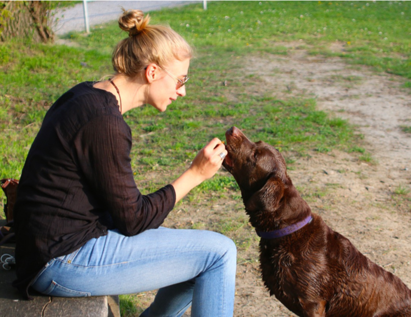 Donna nutre il cagnolino