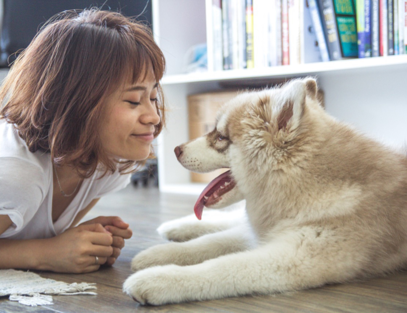 Donna sorride al cane