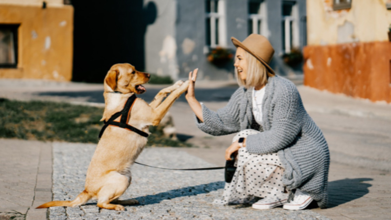 Donna da il cinque al cane