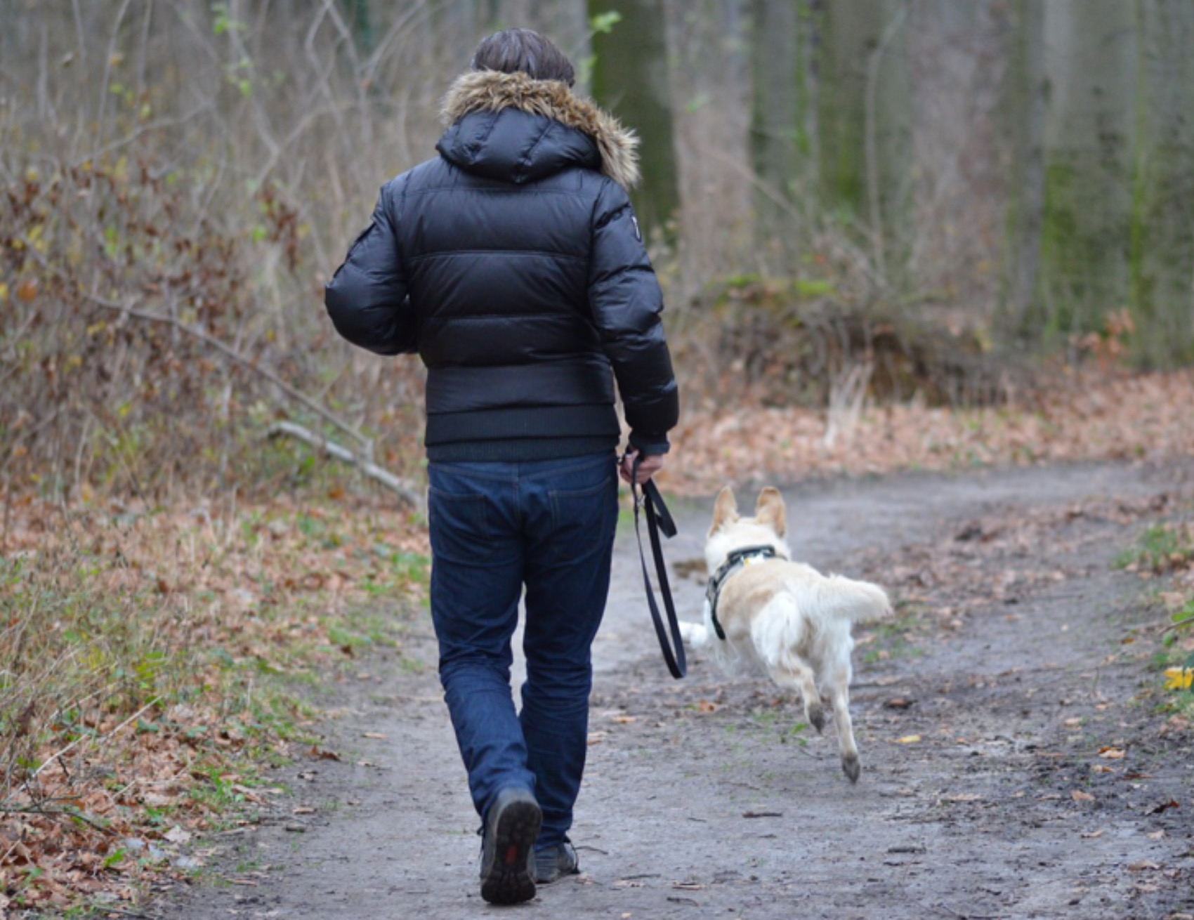 Uomo e cane corrono