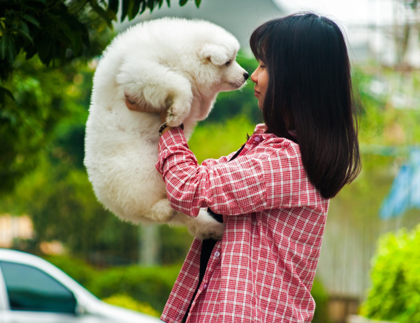 Donna guarda il cane