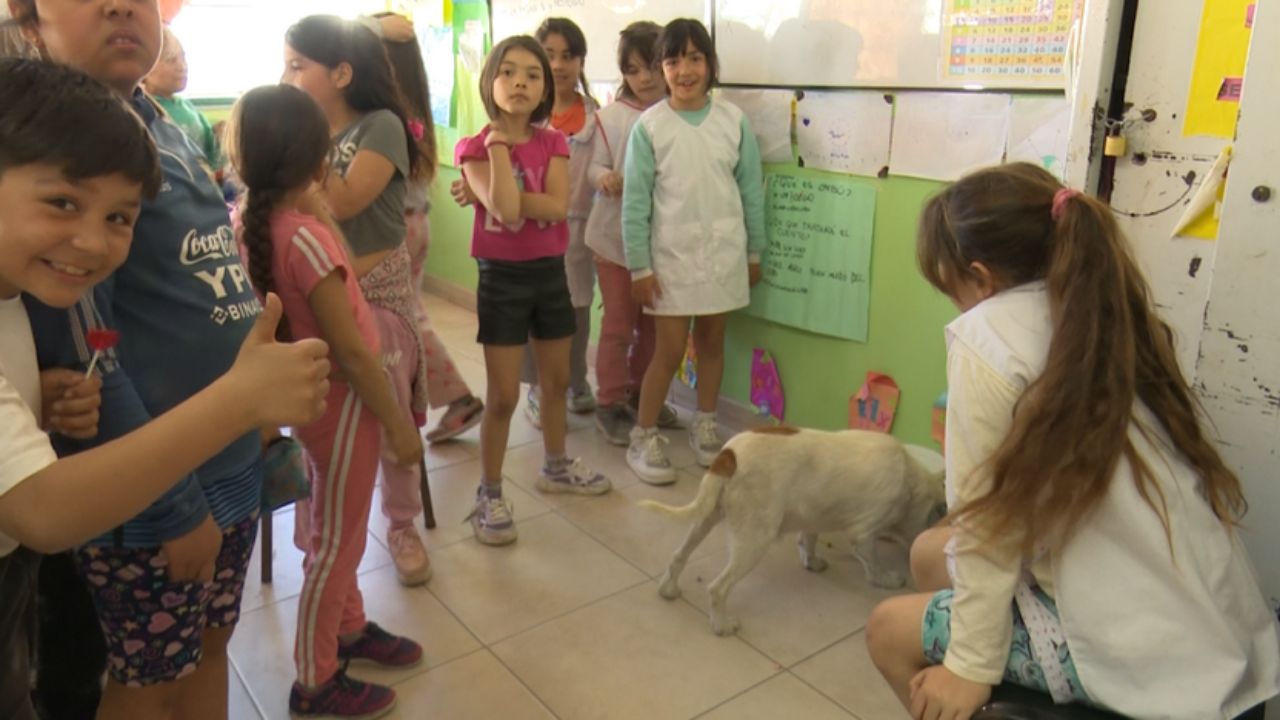 cagnolina di spalle