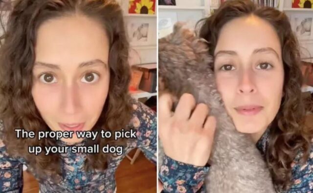 Lo dice l’esperta: questo è il modo corretto per prendere in braccia i cagnolini di piccola taglia (VIDEO)