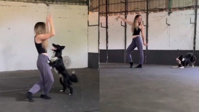 Dirty Dancing, ma con un partner d’eccezione: il duetto con questo cane è da urlo