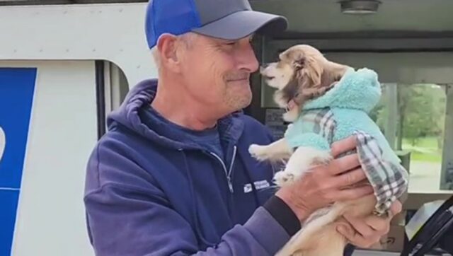 Cane innamorato del postino è felicissimo quando lo vede arrivare
