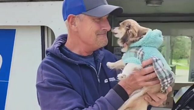 Cane innamorato del postino è felicissimo quando lo vede arrivare