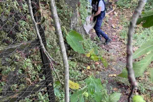 Guardie zoofile salvano il cucciolo legato a una roccia senza cibo o acqua