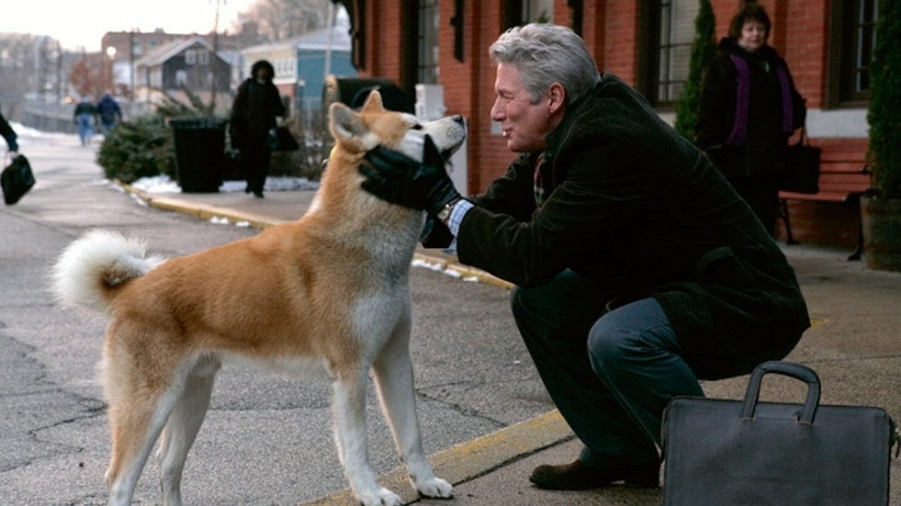 cani interpretato Hachiko