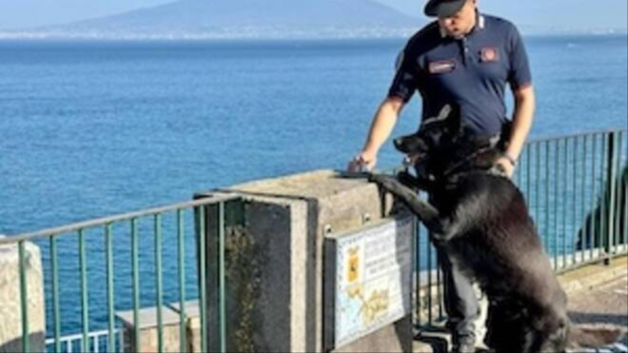 Carabiniere e cane a Positano