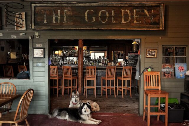 McCarthy è la città in Alaska gestita dai cani