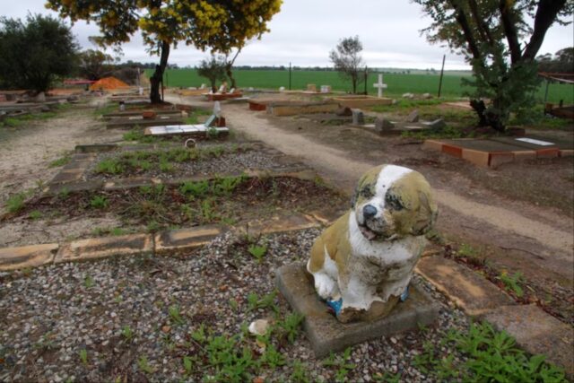 Perché il cimitero per cani di Corrigin è famoso?